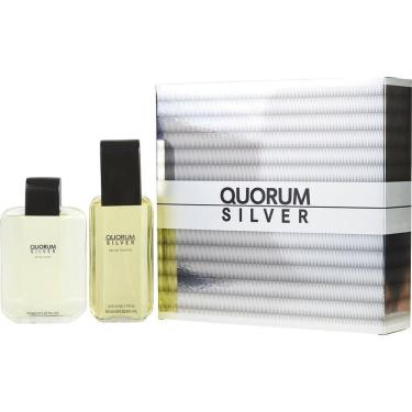 Imagem de Perfume Masculino Antonio Puig Quorum Silver Edt Spray 100 Ml & Pós-barba