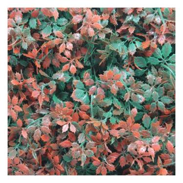 Imagem de Kit 8 Placas Muro Inglês Jardim Vertical Artificial Avermelhada 40x60c