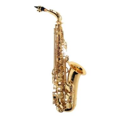 Imagem de Saxofone Michael Alto WASM30N EB Laqueado Com Estojo Essence