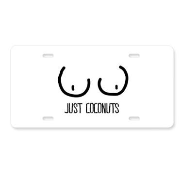 Imagem de DIYthinker Just Coconuts Placa de licença de desenho divertida para decoração de carro, acessório de aço inoxidável