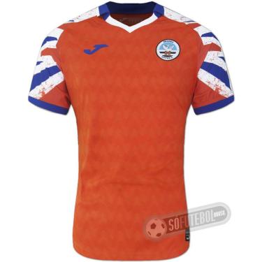 Imagem de Camisa Swansea City - Modelo II