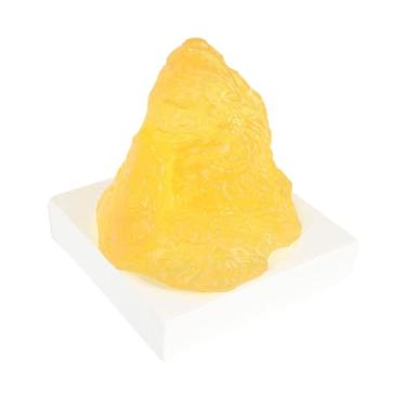 Imagem de menolana Réplica de gordura do corpo humano, silicone, educação precoce, aprendizagem científica, brinquedo, modelo anatômico de gordura, modelo de gordura