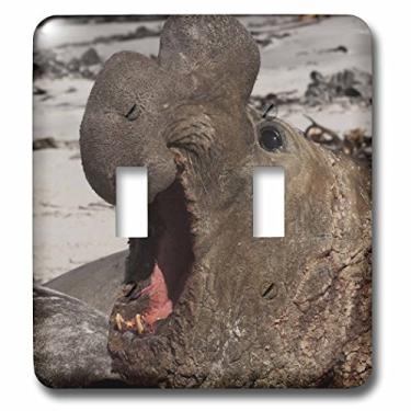 Imagem de 3dRose lsp_86518_2 Selo de Elefante do Sul, Ilhas Falkland Sa09 Pox0433 Pete Oxford Interruptor duplo