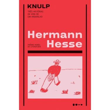 Imagem de Knulp: Três histórias da vida de um andarilho