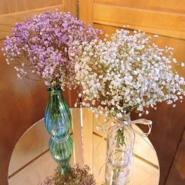 Imagem de Mini Buquê Gypso (mosquitinho) Flores Desidratadas - Pense Flores, Var