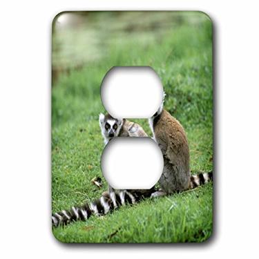 Imagem de 3dRose lsp_72872_6 Madagascar, Antananarivo, Lêmure de cauda anel, Primate-Af24 Pox0084 Pete Oxford 2 Plug Outlet Cover