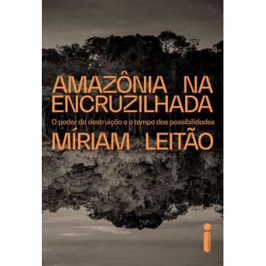 Imagem de Livro - Amazônia na encruzilhada