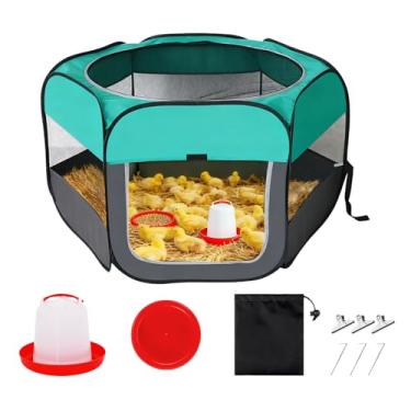 Imagem de Kit de chocadeira de pintinho