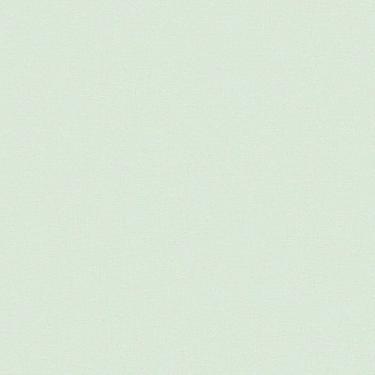 Imagem de Papel de Parede Revoada Liso Menta 4435