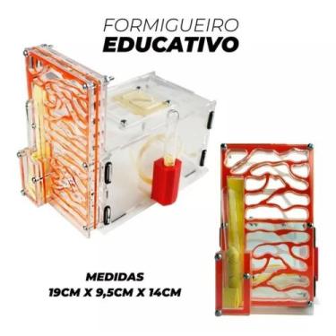 Imagem de Formigueiro Formiga Ninho Criação Brinquedo Educativo - mmamute