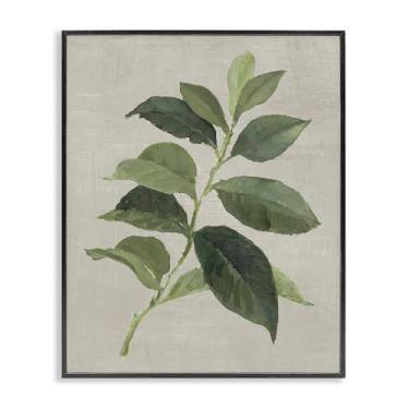 Imagem de Stupell Industries Arte giclée emoldurada preta com folha de café arábica, design de Lanie Loreth, 40,6 x 50,8 cm