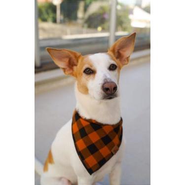 Imagem de Bandana para Pet - Bahia - BenDog, P