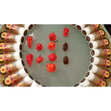 Imagem de Pimentas Mais Ardidas Do Mundo, Bhutlah Chocolate, Carolina Reaper, Tr