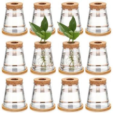 Imagem de Vaso de propagação de plantas Baderke Plastic Desktop com suporte de b