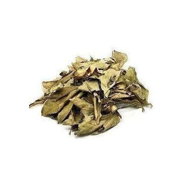 Imagem de Laranjeira - PREMIUM - 50 gr. - - NoBrand