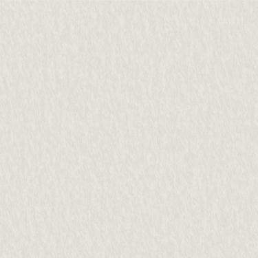 Imagem de Papel de Parede Pure Style Textura Bege PS220196