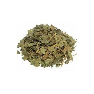 Imagem de Chá de Porangaba Bugre 100g - Cordia Salicifolia - no-brand