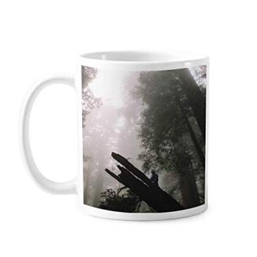 Imagem de Caneca de cerâmica com cenário de natureza da ciência florestal cerâmica xícara de café porcelana louça