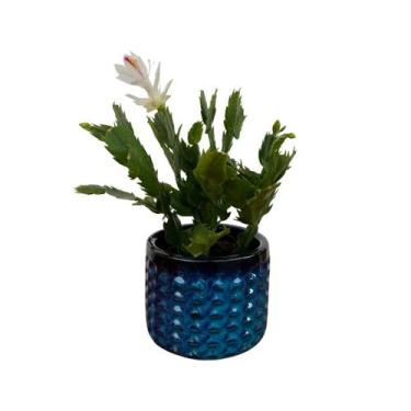 Imagem de Vaso Cachepot de Mesa 15cm Redondo de Cerâmica Texturizada - Verde Gar