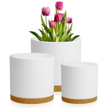 Imagem de Meowell Vasos de plantas de 21 cm, pacote com 3 vasos de flores cilíndricos para plantas internas ao ar livre, vasos de plástico decorativos com orifícios de drenagem e pires para plantas de jardim,