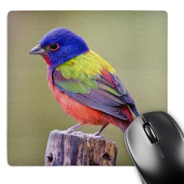 Imagem de Pássaro masculino pegador pintado empoleirado - US44 LDI1047 - Larry Ditto - Mouse pad, 20 x 20 cm (mp_147129_1)