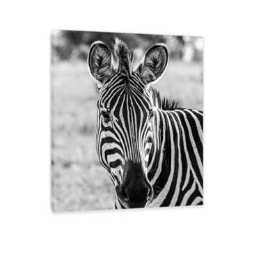 Imagem de SDYJ6GSW Imagens de animais em preto e branco para decoração de parede Zebra preto e branco imagem de animal impressão de imagem de cavalo pintura de parede zebra decoração de parede para sala de