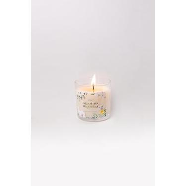 Imagem de Vela Aromática Jardim das Orquídeas, Fragrância Frutal e Floral, Vidro 170 gramas, Cera Natural de Coco, Pavio 100% Algodão, Uso Interior
