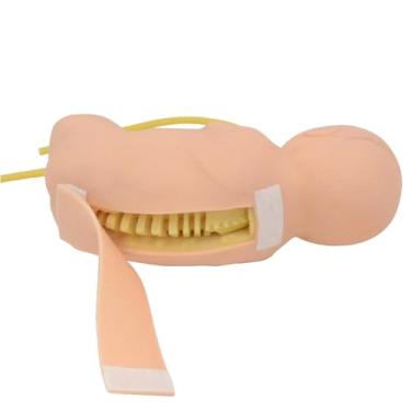 Imagem de Simulador de treinamento de perfuração lombar infantil, modelo de perfuração lombar neonatal em tamanho real, auxílio de ensino para prática de estudante de enfermeira médica