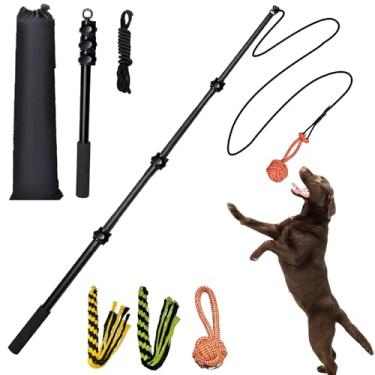 Imagem de SailStart Mastro de paquera para cães, resistente, 122 cm, extensível, de liga de alumínio, para óculos grandes/médios/pequenos, brinquedos interativos para cães para uso interno/externo