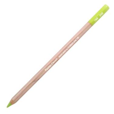 Imagem de Lapis de Cor Pastel Seco Caran D'ache Escolha Cor - CARANDACHE, MIDDLE
