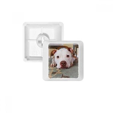 Imagem de White Bulldog Kit de atualização de teclado mecânico PBT com imagem de animal de estimação