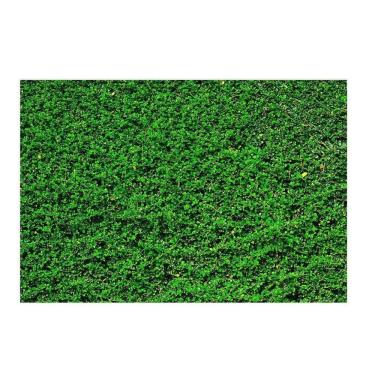 Imagem de Fundo Fotográfico Newborn Muro Inglês 3,0X2,5 Ffg-092