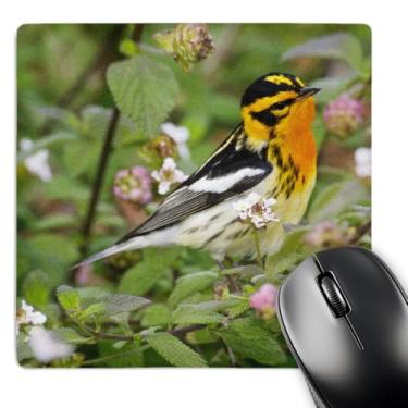 Imagem de Mouse pad com acabamento fosco 3D Rose "Blackburnian Warbler Bird Adulto Macho Us44 Ldi0760Larry Ditto" - 20 x 20 cm - mp_146885_1