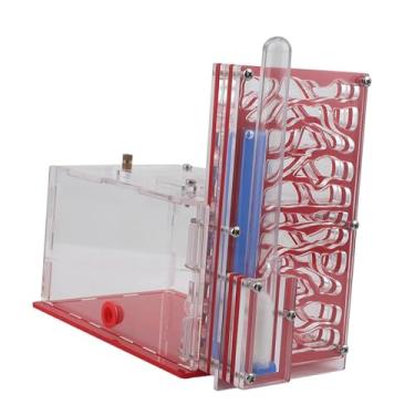 Imagem de Generic Caixa de para formigas, caixa de para formigas com cesto de ração, faça você mesmo, para mesa, sala de estar, cozinha doméstica, Vermelho