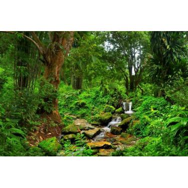 Imagem de Painel de Lona Floresta Tropical Cachoeira - Fabrika de Festa, 400x250
