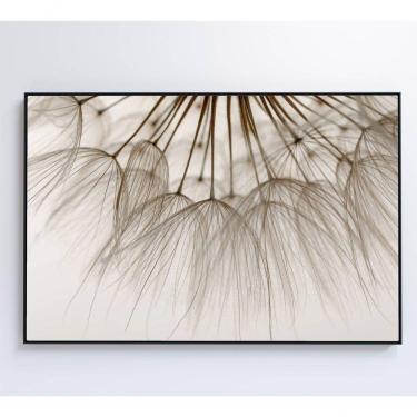 Imagem de Quadro Dente De Leão 3 60x40 Cm Adesivo Fotográfico