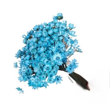 Imagem de Buque de Flores Artificiais Sempre Viva - Kit com 1.600 Flores, Tipo 1 Extra, Arranjo Decorativo para Presentes e Decoração(Azul Claro,2 buquês (400 florzinhas))