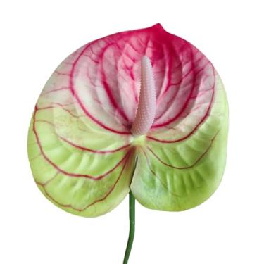 Imagem de 8 peças de flores artificiais de antúrio de toque real de 23,6 polegadas, hastes dobráveis, efeito 3D, flores falsas para centros de mesa, casamento nupcial e decoração de festivais