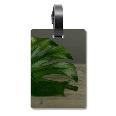 Imagem de Folha de mesa, imagem de planta, bolsa de bagagem, etiqueta para cartão de bagagem, etiqueta