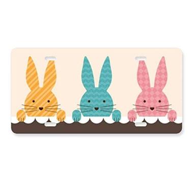 Imagem de DIYthinker Etiqueta de aço inoxidável para decoração de placa de licença de cultura de coelho da Páscoa