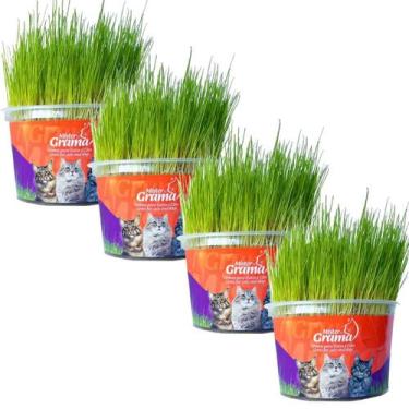 Imagem de Graminha Para Gatos Elimina Bola De Pelo Kit Com 4 UN - Mister