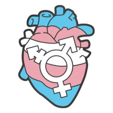 Imagem de Pin Coração Trans - Lab Pins
