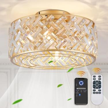 Imagem de Oiotwo Ventiladores De Teto De Gaiola De 18 Polegadas Com Luzes, Ventilador De Teto De Perfil Baixo E Controle Remoto Fandelier Crystal Fan Light Para Quarto, Sala De Estar, Sala De Jantar, Cozinha