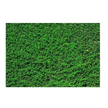 Imagem de Fundo Fotográfico Newborn Muro Inglês 3,0X2,5 Ffg-092