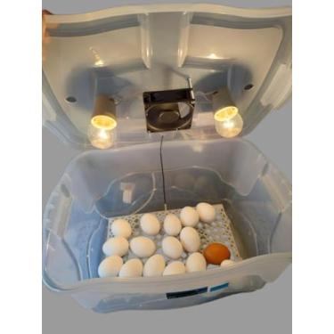 Imagem de Chocadeira Pet Com Ovoscopio 2 Lâmpadas Cooler Para 30 Ovos De Galinha Ou 90 De Codorna