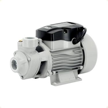 Imagem de Bomba Periférica 1/2 ( 0,5) CV D' Água Razi 127v / 220v, 220V