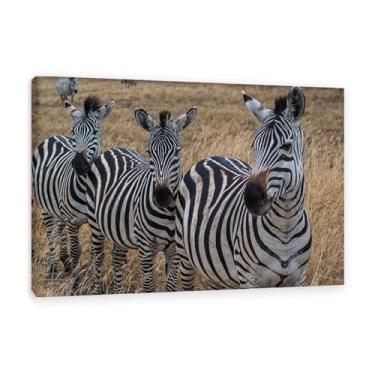 Imagem de Arte de parede em tela zebra grande, imagem de animal zebra de savana africana, impressões em tela de animais selvagens africanos preto e branco moderno giclée emoldurado para decoração de sala de
