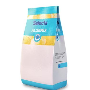 Imagem de Base Saborizante Para Sorvete Algemix Selecta 1 Kg Nata