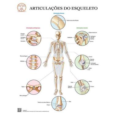 Imagem de Pôster Articulações Do Esqueleto - Body Scientific