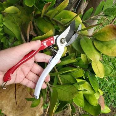Imagem de Tesoura de Poda para jardinagem com lâmina Afiada trava de segurança m